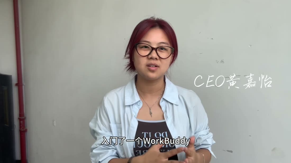 平海公司 CEO 出镜谈心得